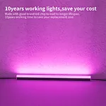 LED walkway light